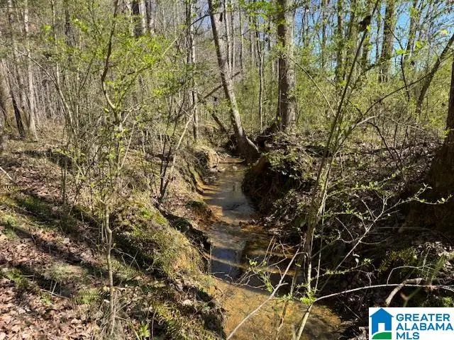 26205 HIGHWAY 77, Wadley, AL 36276 - #2