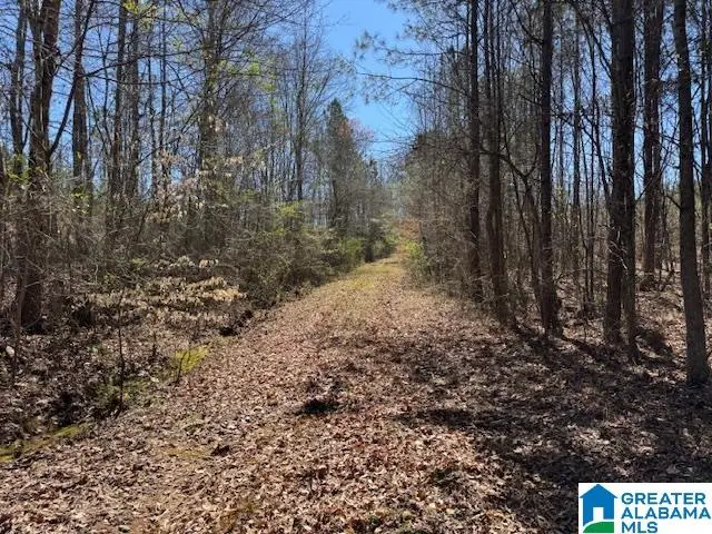 26205 HIGHWAY 77, Wadley, AL 36276 - #3