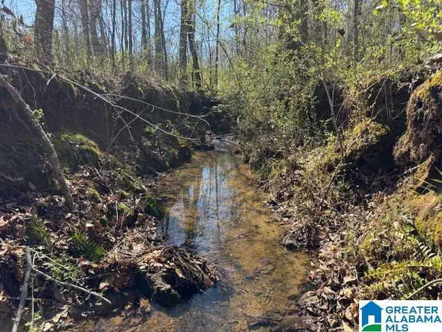 825 COUNTY ROAD 79, Wadley, AL 36276 - #1