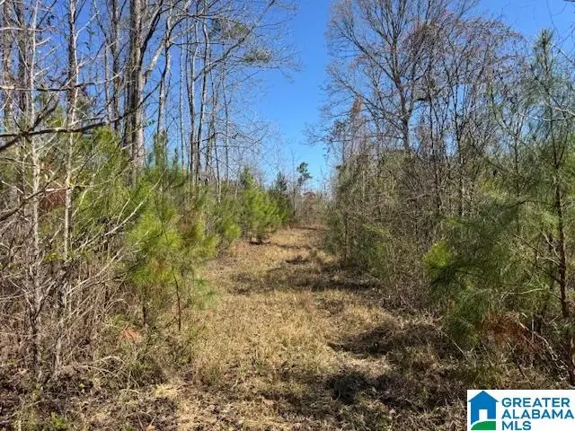 825 COUNTY ROAD 79, Wadley, AL 36276 - #2