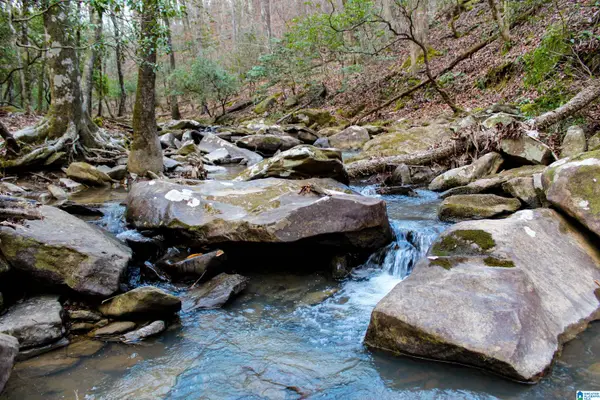 00 COUNTY ROAD 38, Northport, AL 35475