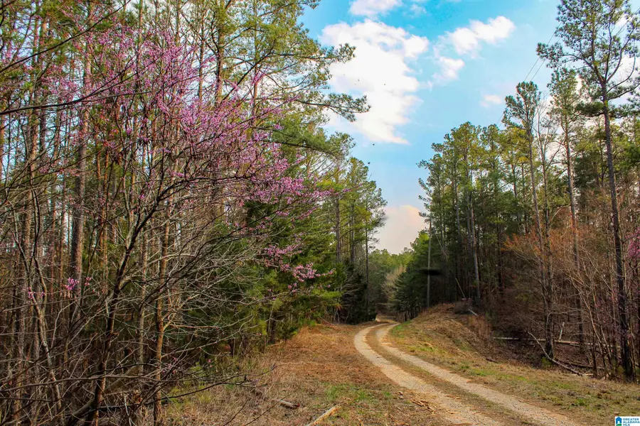 00 COUNTY ROAD 38, Northport, AL 35475 - #2