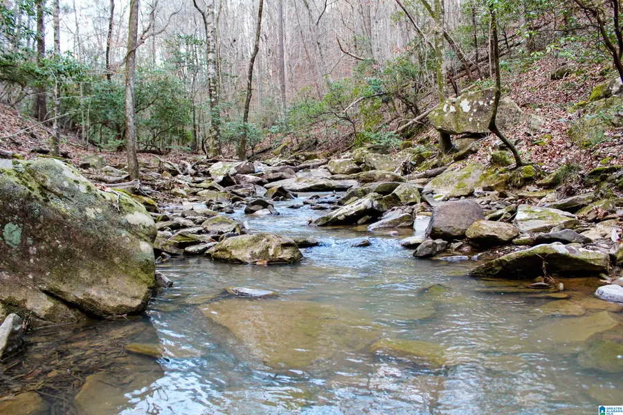 00 COUNTY ROAD 38, Northport, AL 35475 - #3