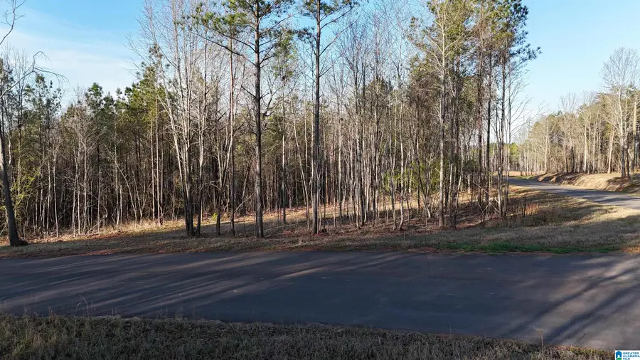 620 HORSESHOE TRAIL, Helena, AL 35022 - #2