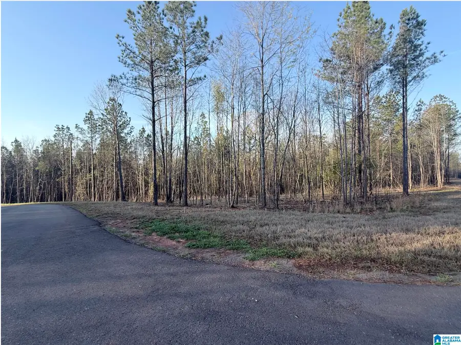 620 HORSESHOE TRAIL, Helena, AL 35022 - #3