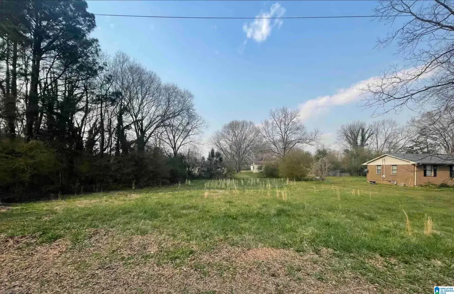 61 GAULDIN AVENUE, Lincoln, AL 35096 - #2