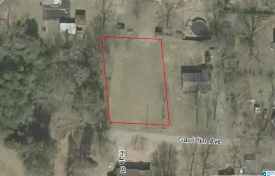 61 GAULDIN AVENUE, Lincoln, AL 35096 - #3