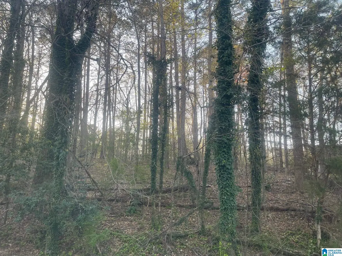 TRACY STREET, Jasper, AL 35504 - #1