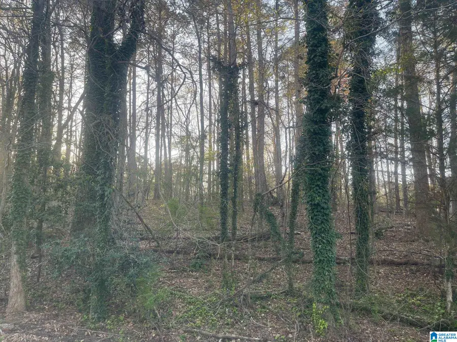 TRACY STREET, Jasper, AL 35504 - #2