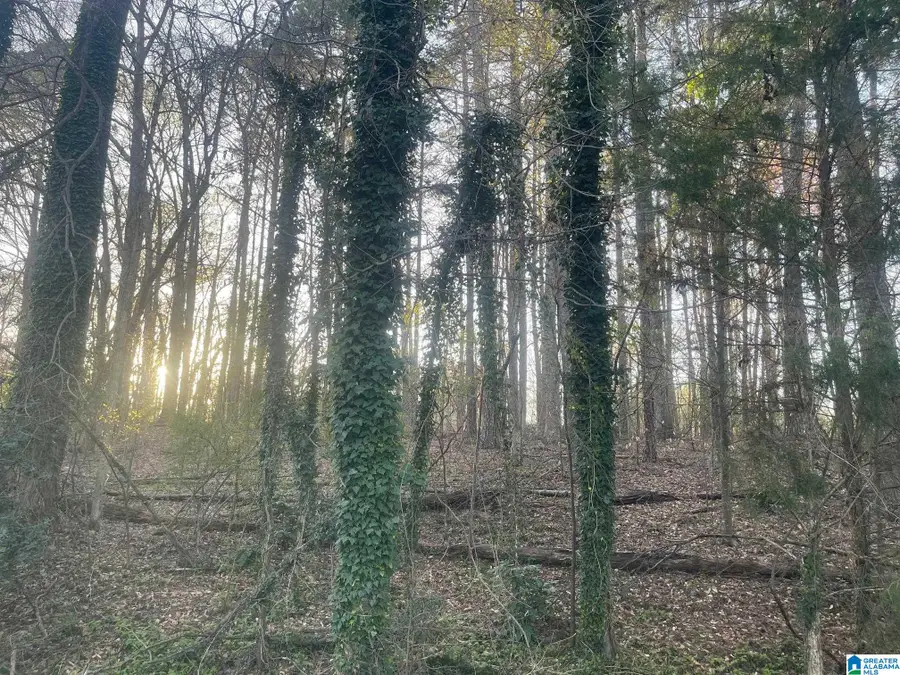 TRACY STREET, Jasper, AL 35504 - #3