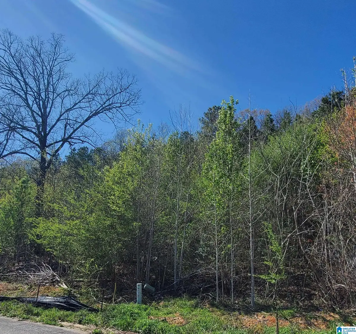 5924 HIGH FOREST DRIVE, McCalla, AL 35111 - #1