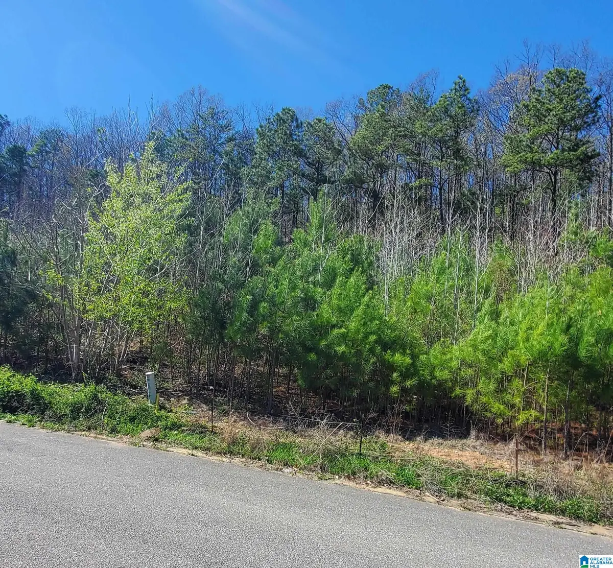 5920 HIGH FOREST DRIVE, McCalla, AL 35111 - #1