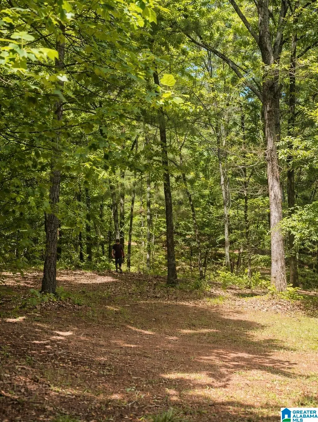 3552 HIGHWAY 39, Chelsea, AL 35043 - #1