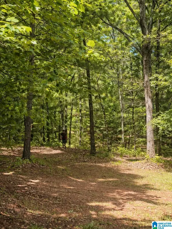 3552 HIGHWAY 39, Chelsea, AL 35043