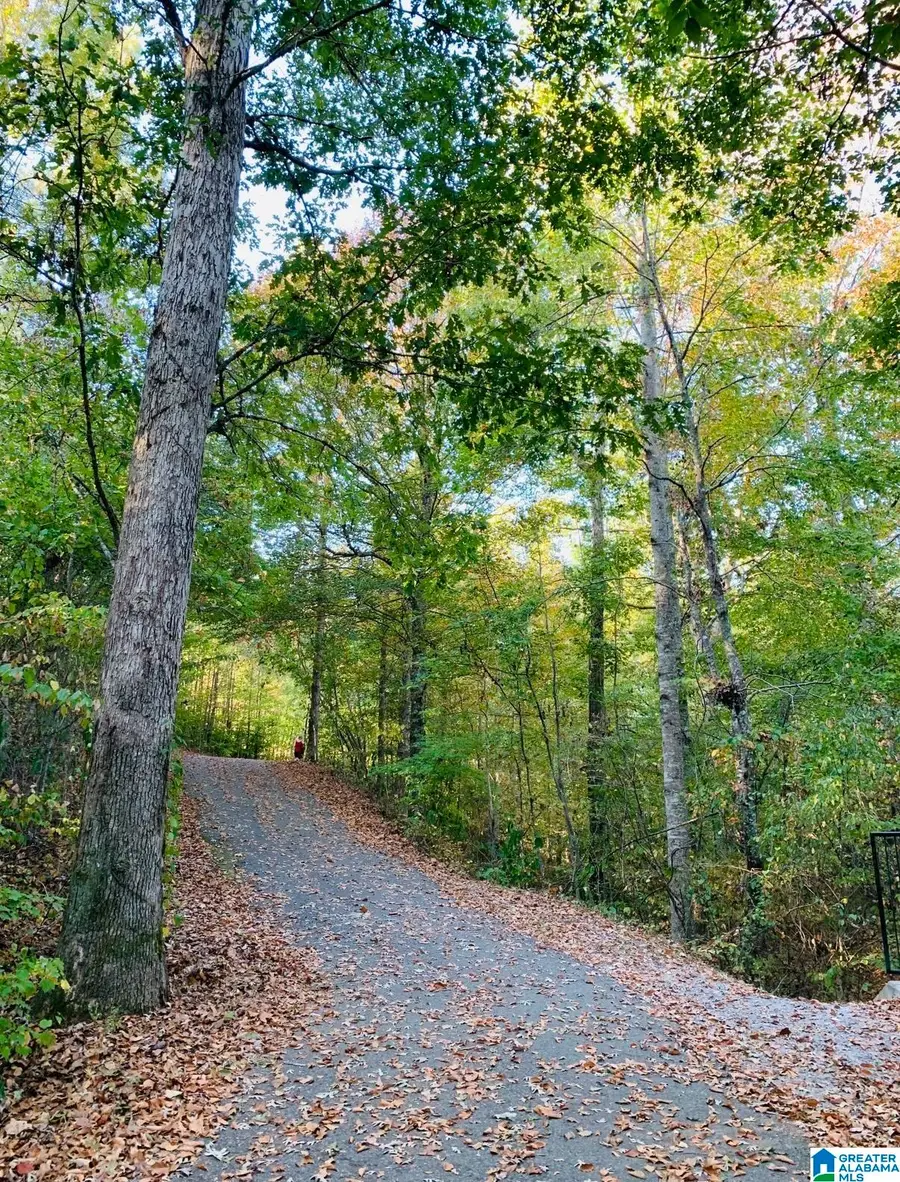 3552 HIGHWAY 39, Chelsea, AL 35043 - #2