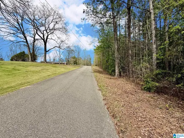 0 SHAMROCK LANE, Piedmont, AL 36272