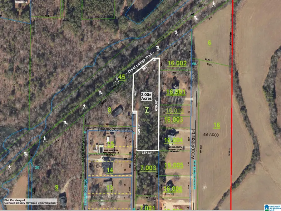 0 SHAMROCK LANE, Piedmont, AL 36272 - #2