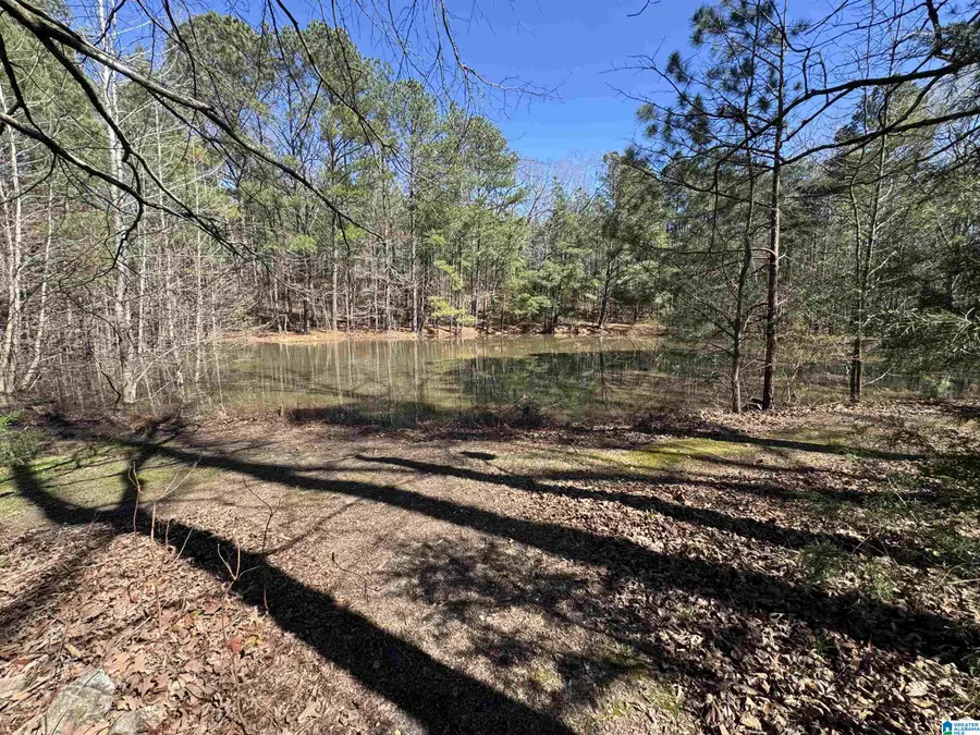 132 WILLOW DRIVE, Odenville, AL 35120 - #3