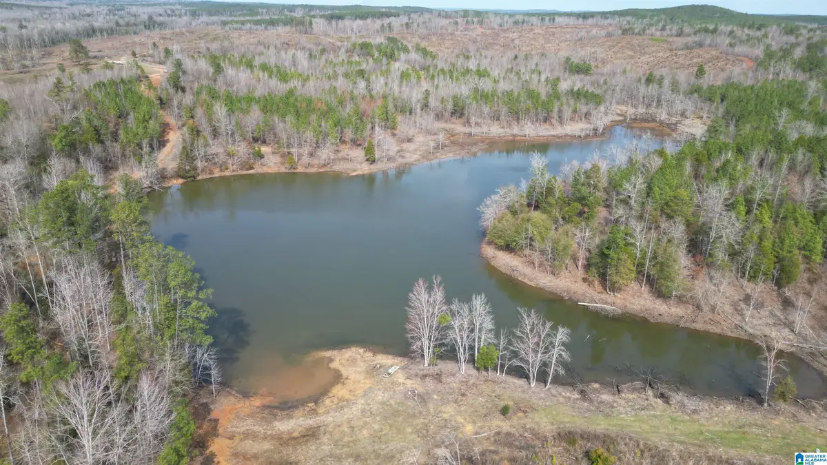 o BLUEBIRD LANE, Centreville, AL 35042 - #1