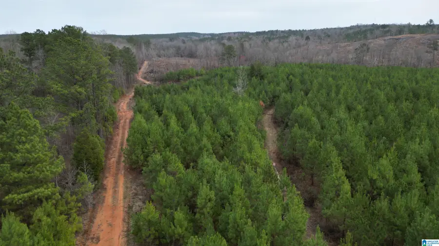 o BLUEBIRD LANE, Centreville, AL 35042 - #3