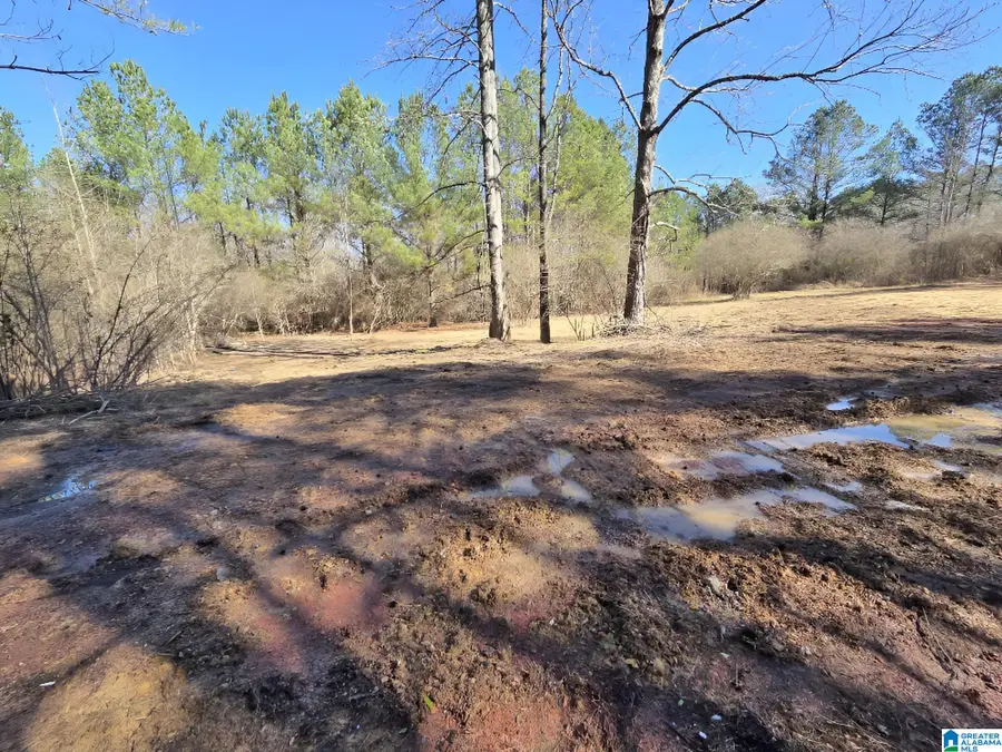 1615 BLANTON ROAD, Parrish, AL 35580 - #3