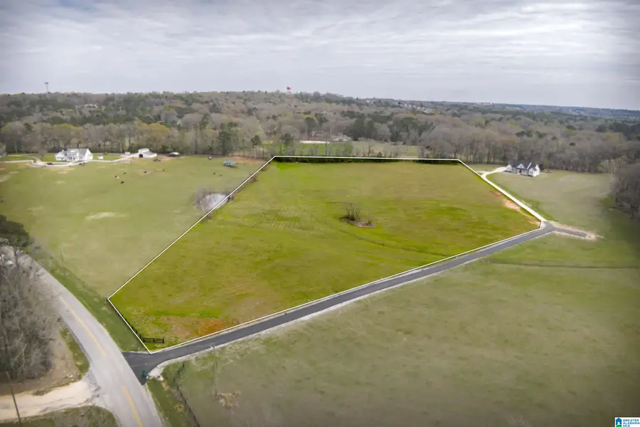 860 COUNTY ROAD 24, Alabaster, AL 35007 - #2