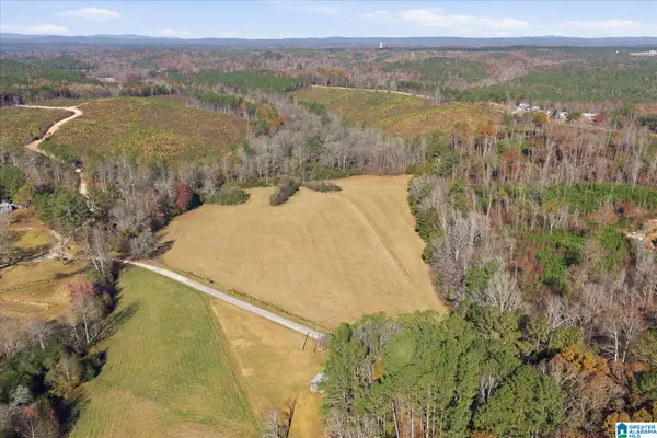 0 COUNTY ROAD 84, Heflin, AL 36264