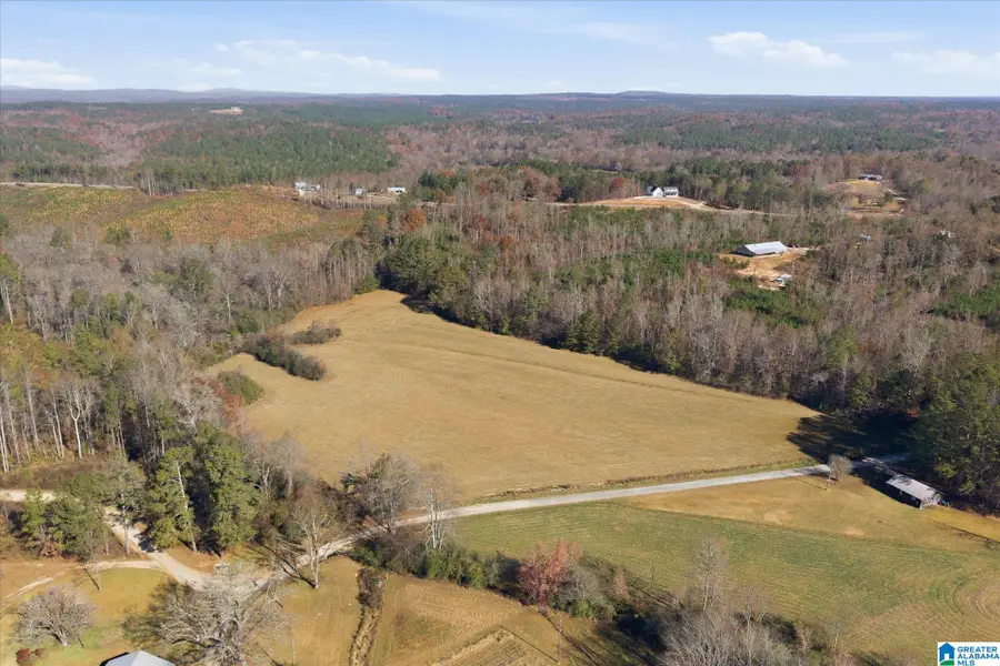 0 COUNTY ROAD 84, Heflin, AL 36264 - #3
