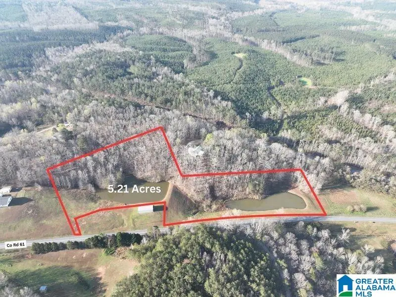 5.21acres COUNTY ROAD 61, Roanoke, AL 36274 - #1