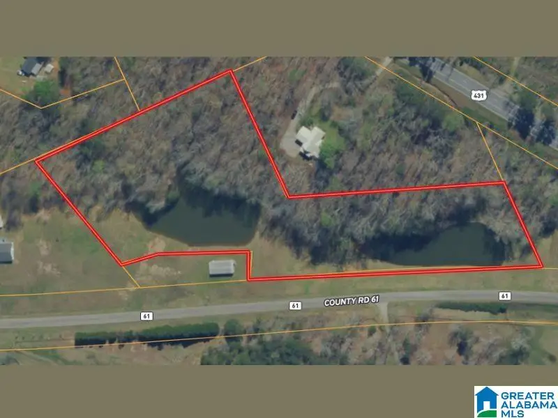 5.21acres COUNTY ROAD 61, Roanoke, AL 36274 - #2