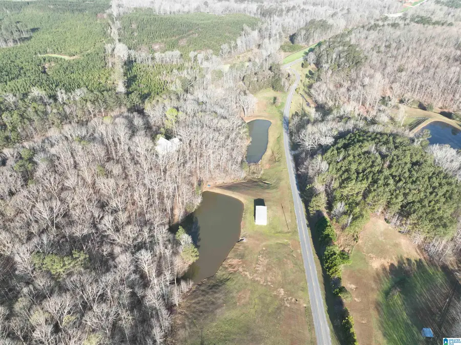 5.21acres COUNTY ROAD 61, Roanoke, AL 36274 - #3