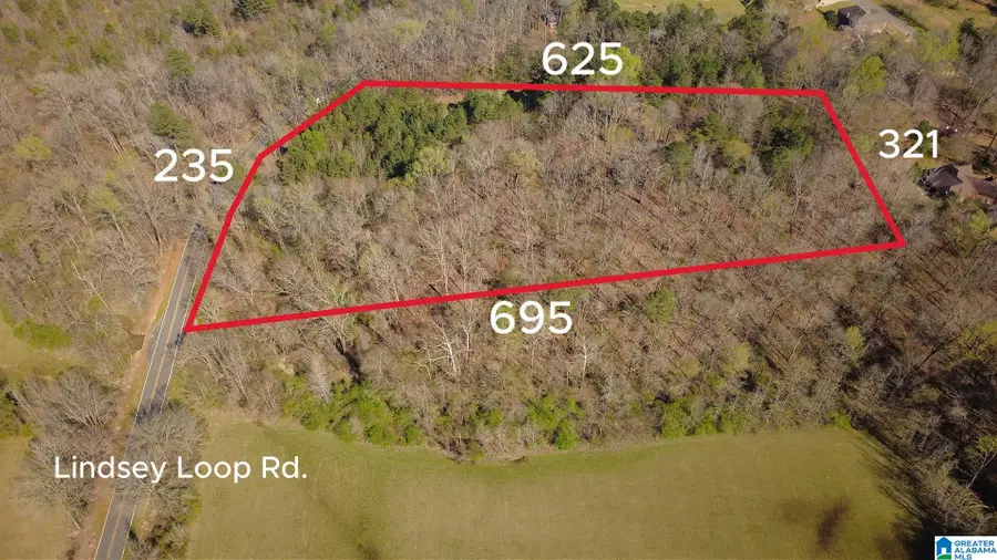 3590 LINDSEY LOOP ROAD, Bessemer, AL 35022 - #2