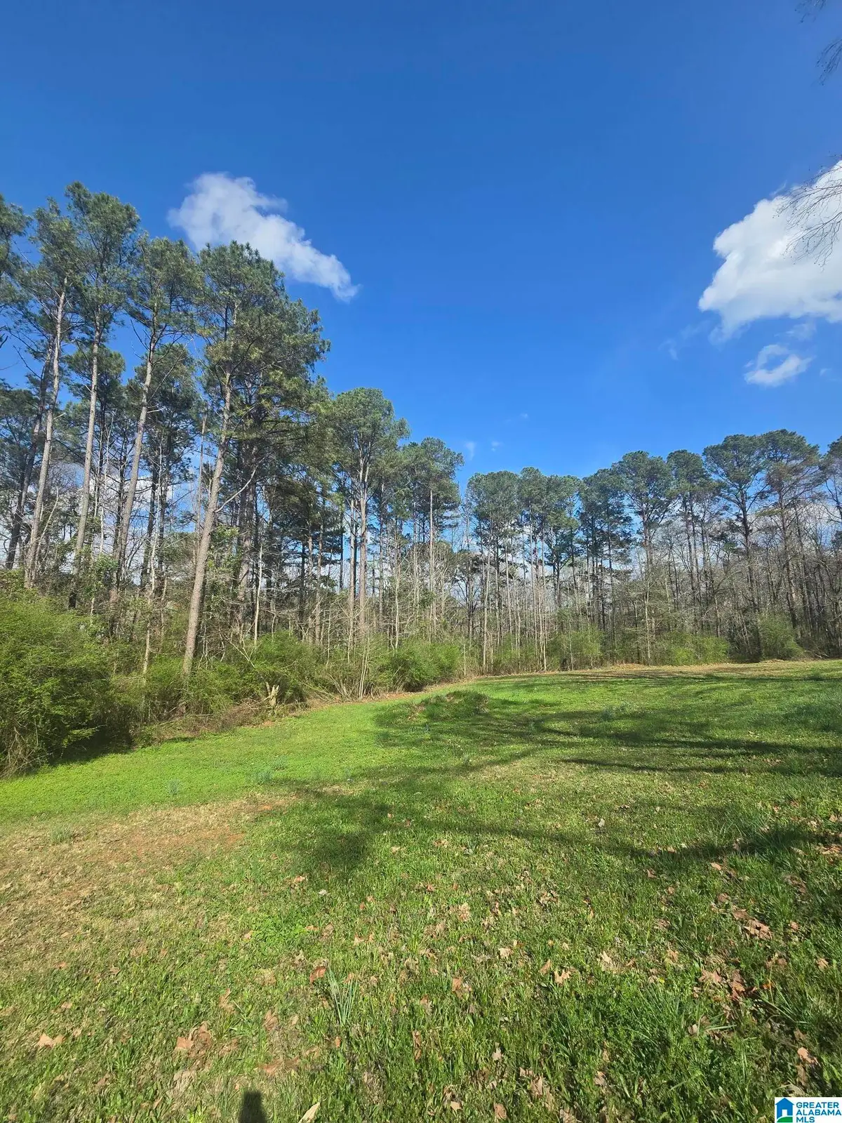 123 WOOTEN ROAD, Alabaster, AL 35007 - #1