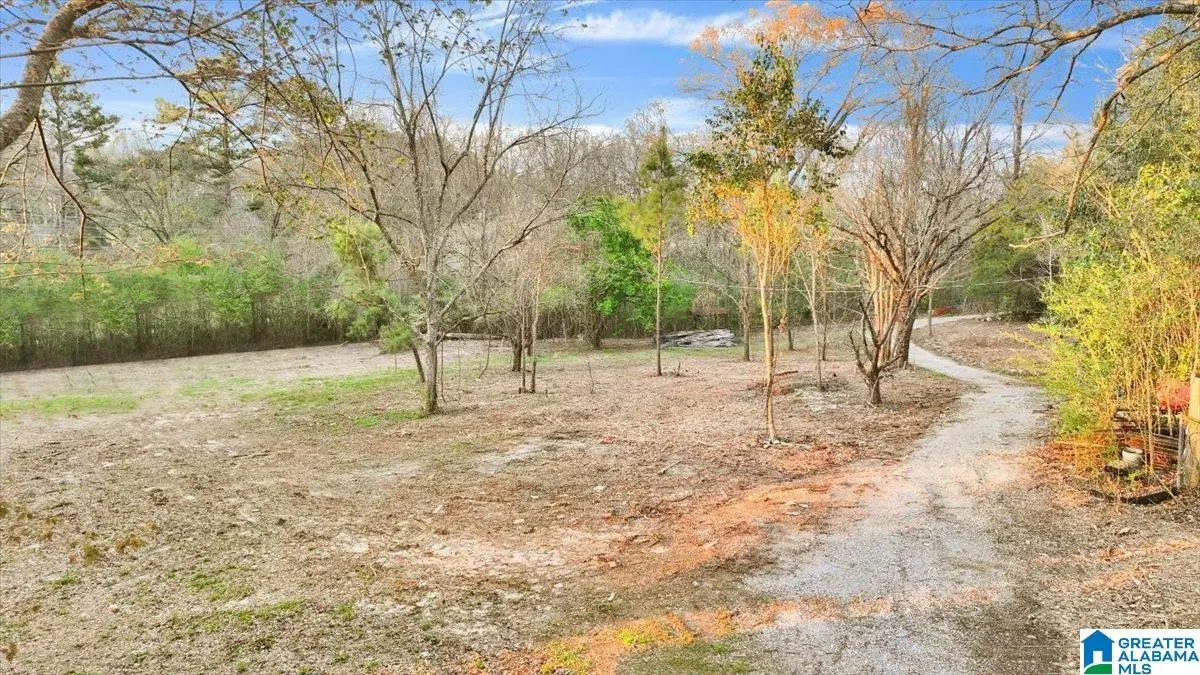 248 JONES ROAD, Montevallo, AL 35115 - #1