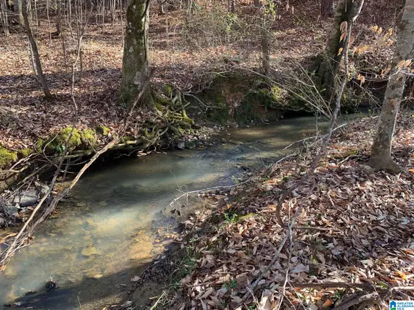 2 MOUNTAINSIDE DRIVE, West blocton, AL 35184