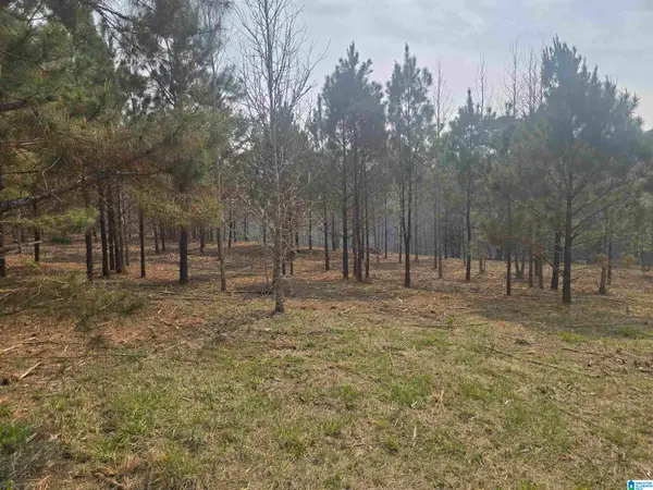 000 COUNTY ROAD 108, Rockford, AL 35136