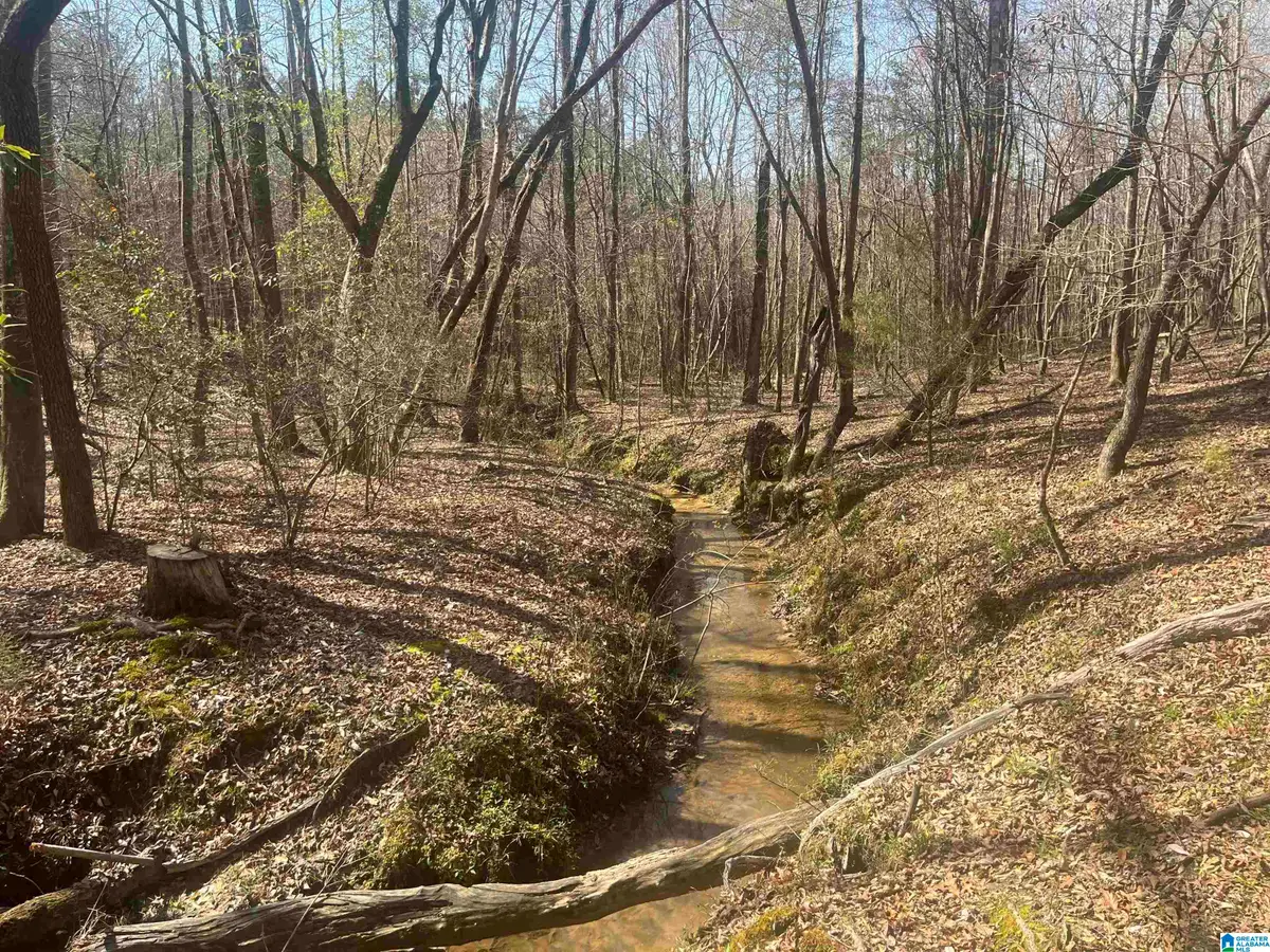 0 CRYSTAL LAKE ROAD, West Blocton, AL 35184 - #1