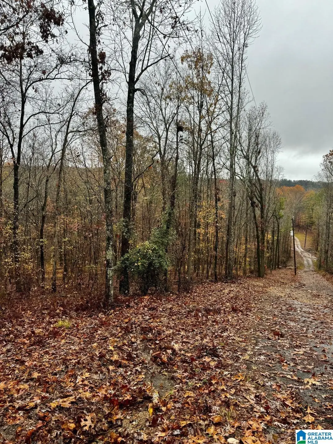 117 AMORE LANE, Chelsea, AL 35043 - #1