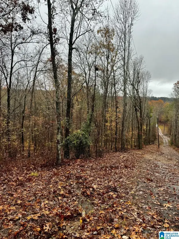 117 AMORE LANE, Chelsea, AL 35043