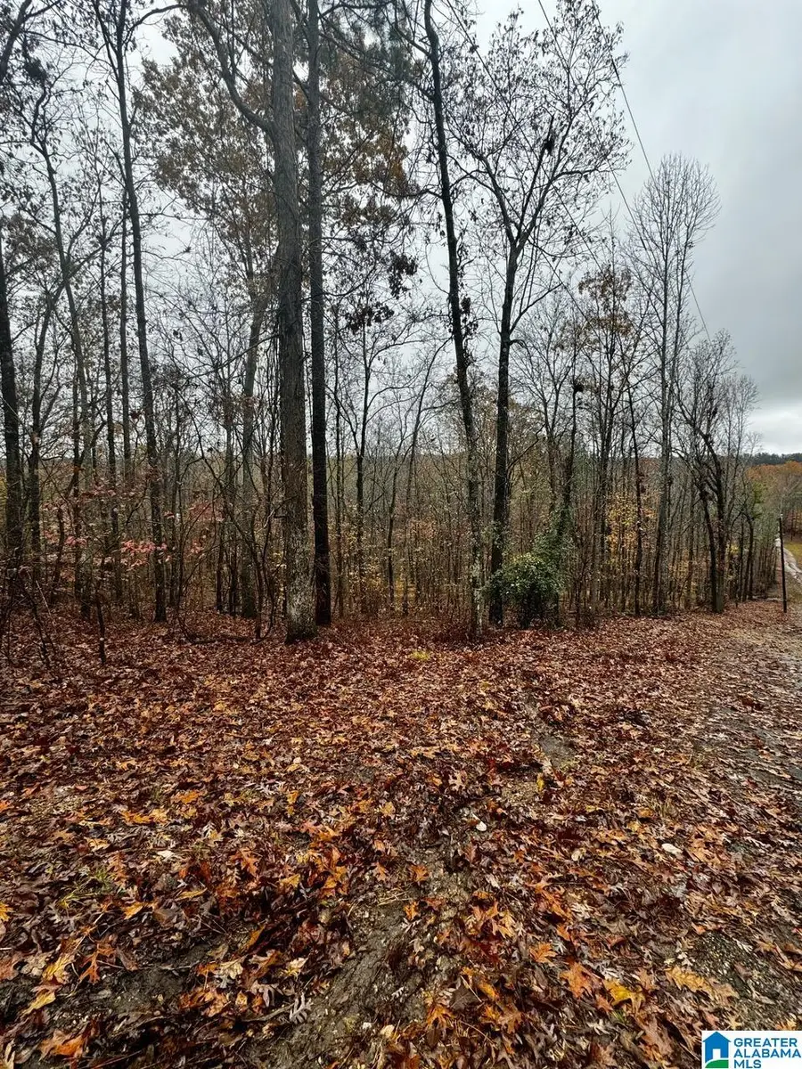 117 AMORE LANE, Chelsea, AL 35043 - #2