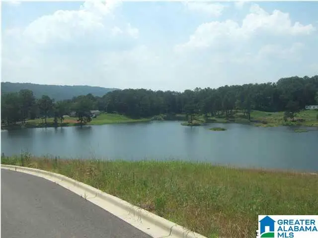 325 GRAY FOX ROAD, Springville, AL 35146 - #2