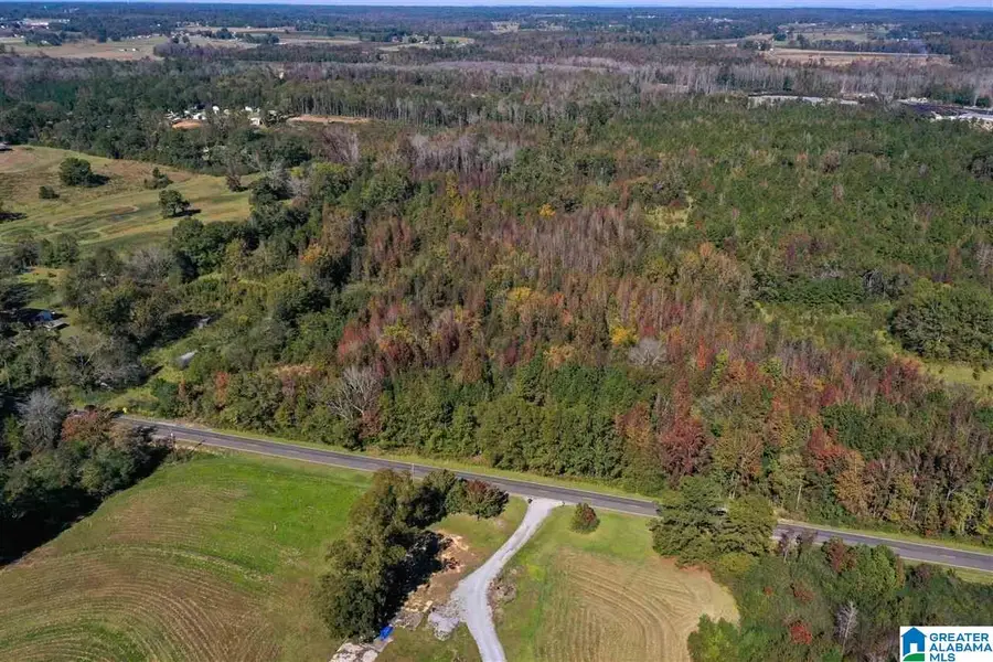 5710 COUNTY ROAD 754, Clanton, AL 35045 - #3