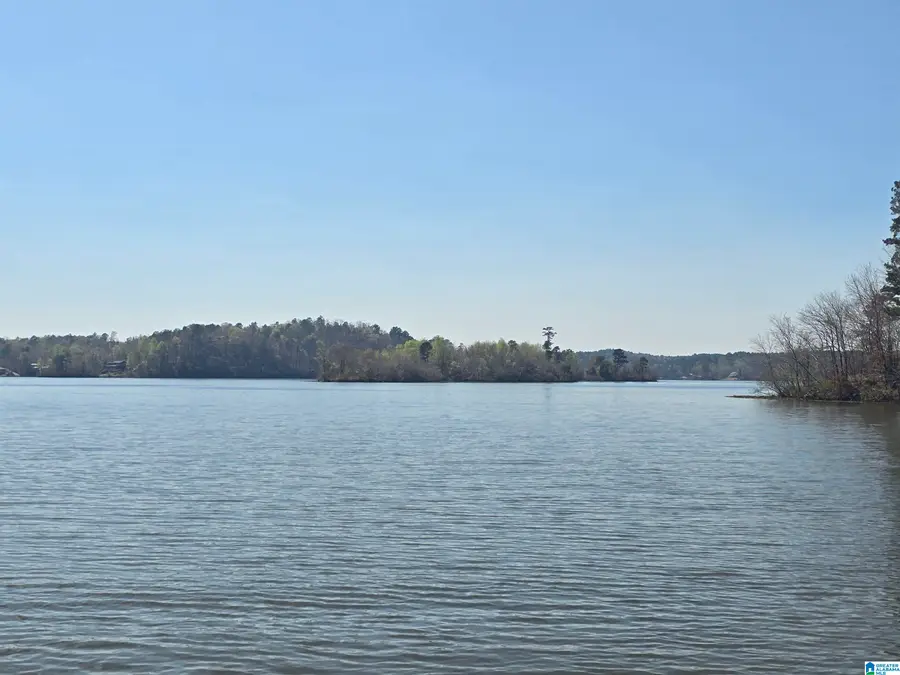 Lot 16 EAGLE POINT TRACE, Rockford, AL 35136 - #2