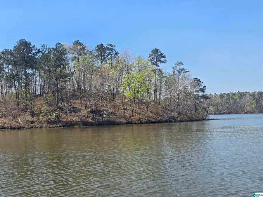 Lot 16 EAGLE POINT TRACE, Rockford, AL 35136 - #3