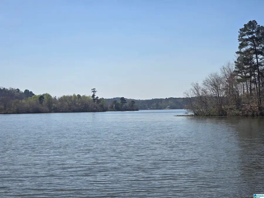 Lot 18 EAGLE POINT TRACE, Rockford, AL 35136 - #2