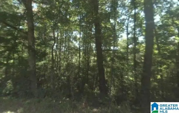 0 DORNING ROAD, Trafford, AL 35172