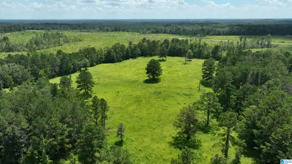 0 S SHACKLEVILLE ROAD, Greenville, AL 36033