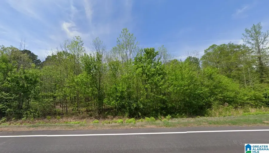 22731 US HIGHWAY 11, Steele, AL 35987 - #2