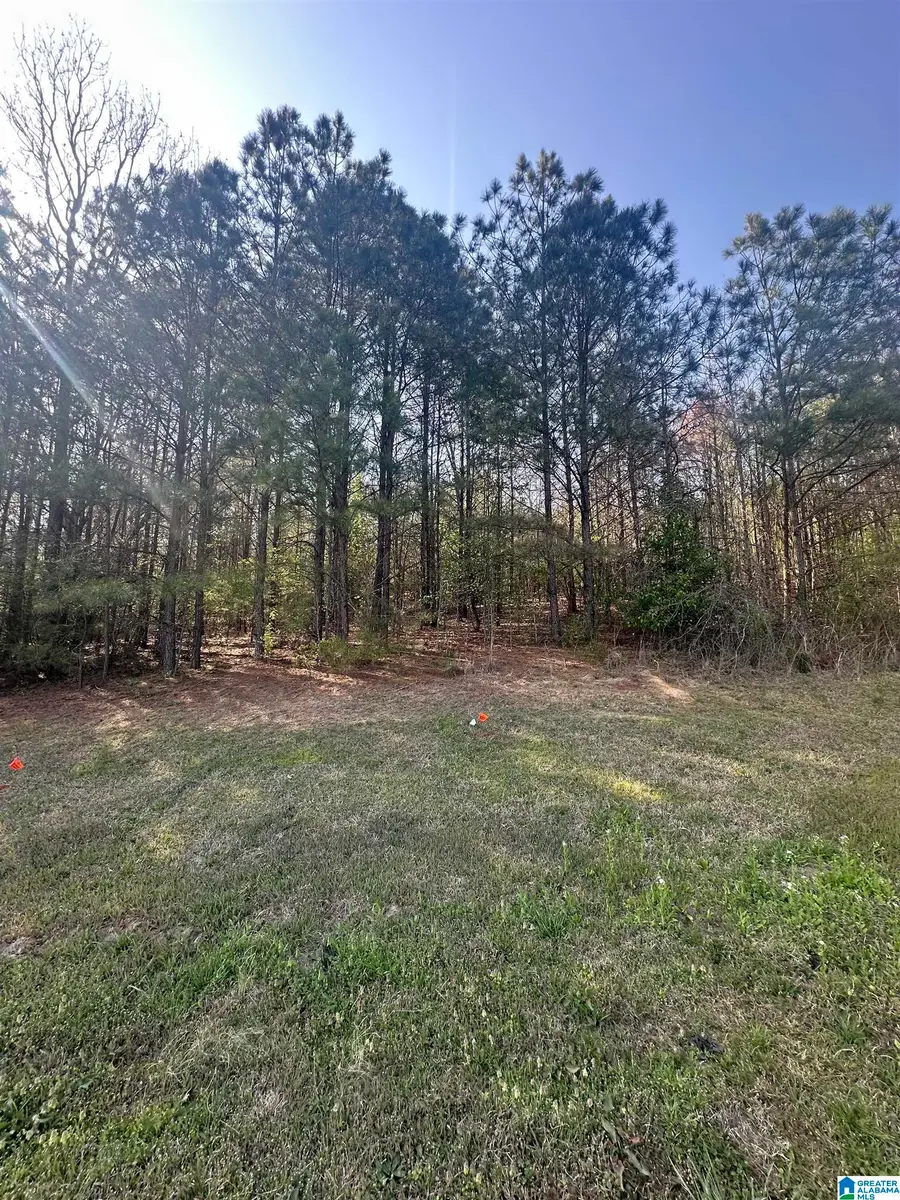 LOT 10 N MONTCREST, Cullman, AL 35057 - #2
