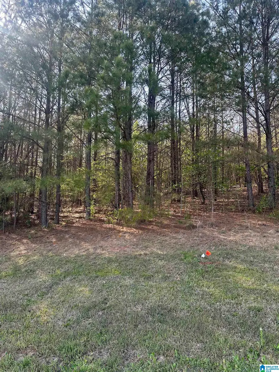 LOT 10 N MONTCREST, Cullman, AL 35057 - #3